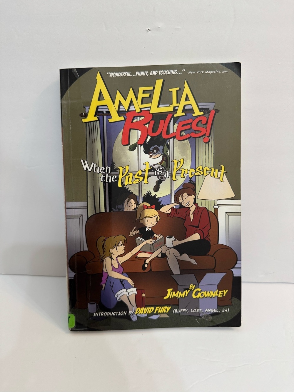 Graphic Novel Amelia Rules! When the Past is a Present No. 4 Middle School Book